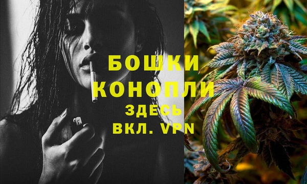 прущие крисы Сатка